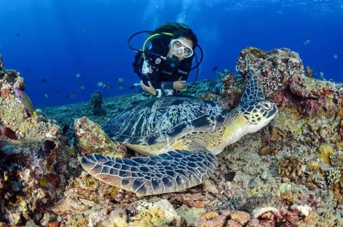 Apo Diver Beach Resort San Juan  Luaran gambar